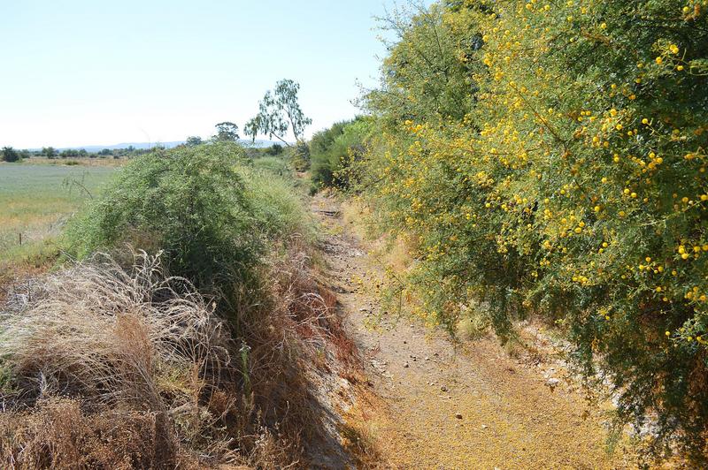 0 Bedroom Property for Sale in Calitzdorp Western Cape
